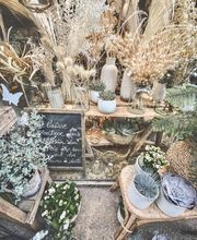 Couleur Nature image 13