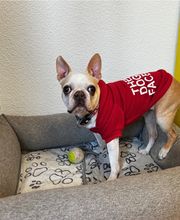 SSLU Street Sense Luzern VKU Luzern Bild 7