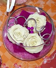 La Pensée Bleue image 4