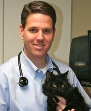 Middendorf Animal Hospital & Laser Centre image 20