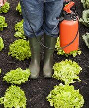 José Manzanares SL imagen 5