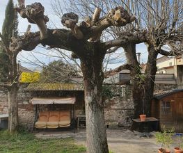 Le jardin de Paul image 6