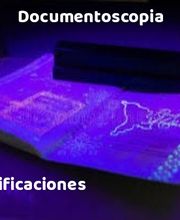 310487616-1-oHTF0Z6JEQ1780433969862.jpeg