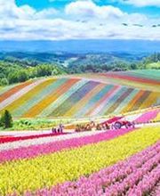 ESPRIT JARDILAND image 3