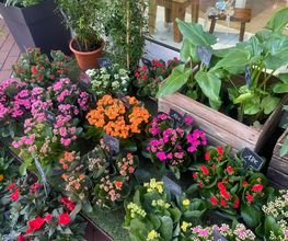 L'Atelier Fleuri image 15