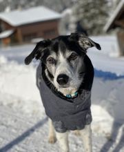 Kleintierpraxis 54 Bild 12