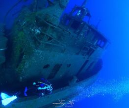 BRISUB imagen 3