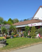 Blumen Lessle Bild 2
