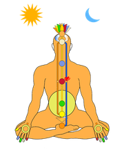 Jauréguy Christine image 14