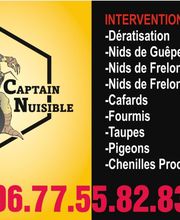 Captain Nuisible image 13