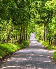 Desgranges Kristelle image 1