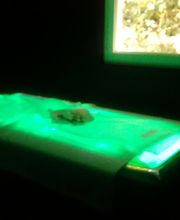 Le Moulin Du Bien-Etre image 20