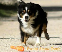 Pension Atomic Team's image 14