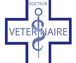 Delmée Pierre image 1
