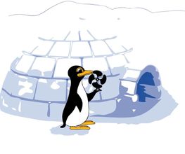 Actyfroid image 13