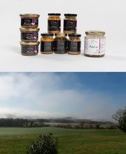 Bianchini EARL image 3