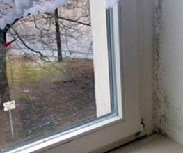 SchadenDienst24 Chemnitz GmbH Bild 8