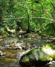 Camping Le Pastural image 19