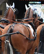 Reitstall Bühl Bild 3