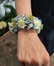 Blumen Dahlmann Bild 11