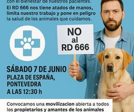 216171108-1-mn2LhZuAZS1764936899734.jpeg