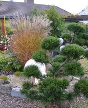 Gartengestaltung Förster Bild 1