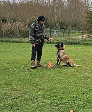 Bien dans ses Pattes image 11