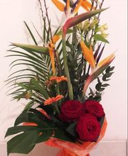 Bielsa Christine image 3