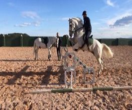 fieldandhorse.jpg
