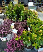 Bricomarché La Charité-Sur-Loire image 10