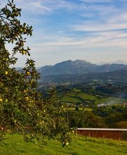 Sidra Riestra imagen 11