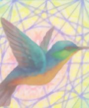 Jeannot Daisy image 11