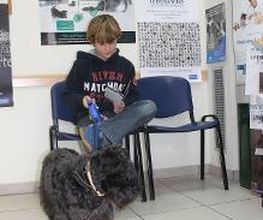 Argos Clínica Veterinaria imagen 7