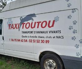 Taxi Toutous image 2