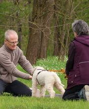 Hundezentrum Saarburg Bild 5