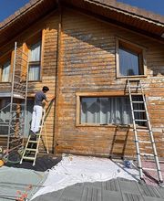 Tissier Peinture image 13