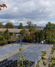 Kienzle Garten GmbH Bild 15