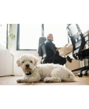 raidboxes® – WordPress Hosting Bild 4