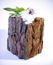 Zimmermann Bestattungen GmbH Bild 3