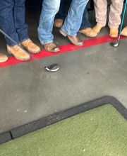 The Stone Group Outdoor Specialist Inc. image 11