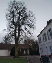 Nature Domestiquee image 2