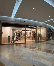 Overall View - Windows (Hero Image)