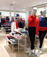 Lacoste Bordeaux Dijeaux image 5