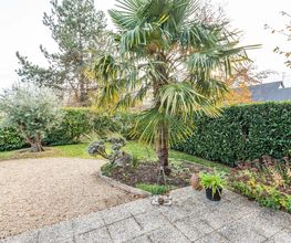 Jardin Services EURL image 13