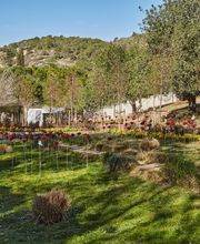 Cementiri Les Pruelles Sitges imagen 8