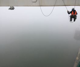 Acrobat image 11