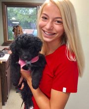 Apple Valley Veterinary Clinic image 6