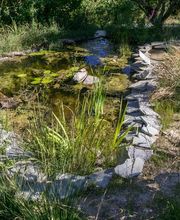 Nicolas Varidel Nature+Jardins Bild 5