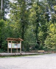 FriedWald Starzach Bild 10