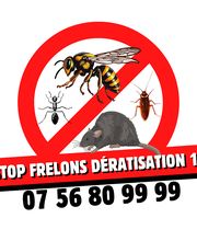 Stop Frelons image 10